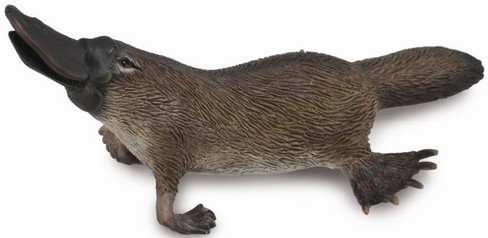 CollectA Platypus Figure