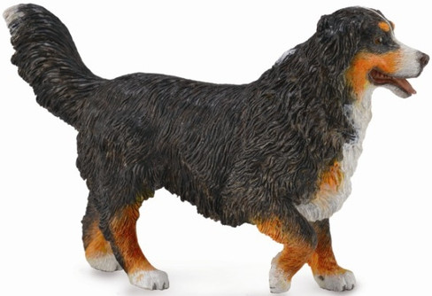CollectA Bernese Mountain Dog - Manufacturer Picture