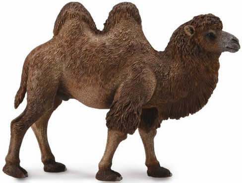 CollectA Bactrian Camel Figure