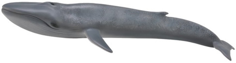 CollectA Blue Whale Figure