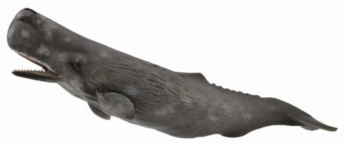 CollectA Sperm Whale #88835 - Manufacturer Hero Image