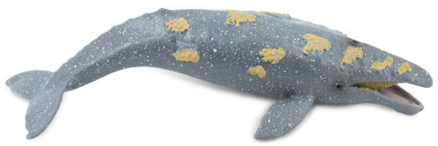 CollectA Gray Whale #88836 Manufacturer Image Side View