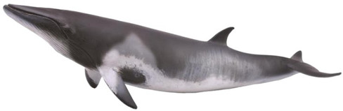 CollectA  Minke Whale Figure
