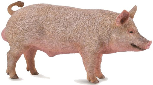 CollectA Pig - Boar Figure