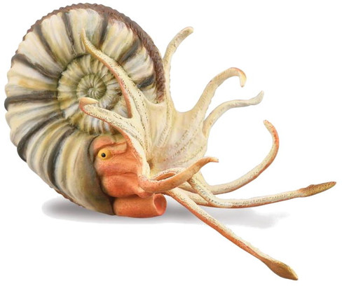 CollectA Ammonite - Pleuroceras Figure