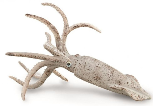 CollectA Belemnite Figure
