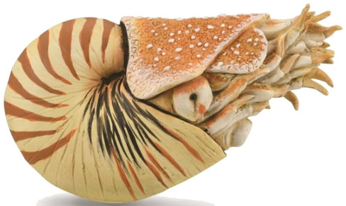 CollectA Nautilus Pompilius Figure
