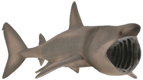 CollectA Basking Shark Figure