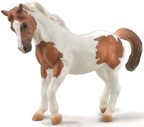 CollectA Chincoteague Pony - Chestnut Pinto - Manufacturer Picturer