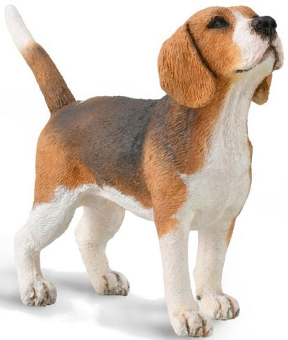 CollectA Beagle Dog - Manufacturer Picture
