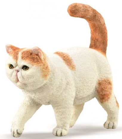 CollectA Exotic Shorthair Cat #88937 hero image
