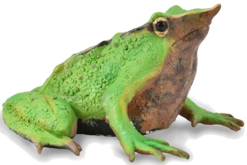 CollectA Darwin's Frog Figure