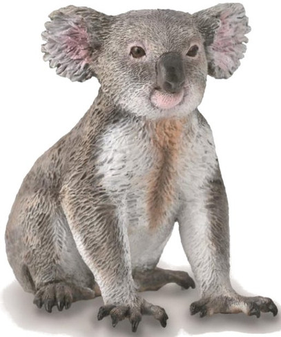 CollectA Koala Bear Figure - Manufacturer Picture