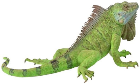 CollectA Iguana Lizard - Manufacturer Picture
