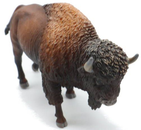 CollectA American Bison - Front Angle View