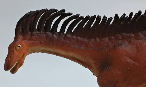 CollectA Amargasaurus - Head Close Up
