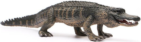 CollectA American Alligator - Manufacturer Picture