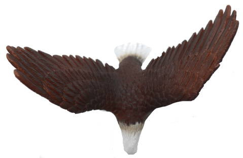 CollectA American Bald Eagle - Top View