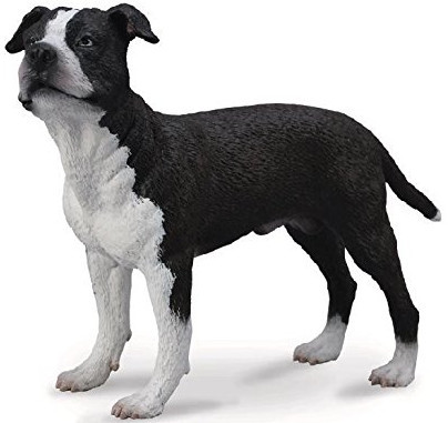 CollectA American Staffordshire Terrier Dog - Manufacturer Picture
