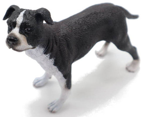 CollectA American Staffordshire Terrier Dog - Front Angle View