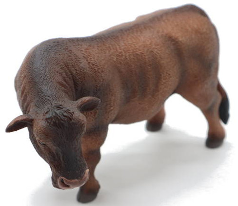 CollectA Red Angus Bull - Front Angle View
