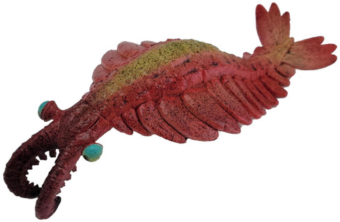 CollectA Anomalocaris - Manufacturer Picture
