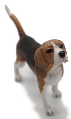 CollectA Beagle Dog - Front Angle View