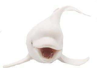 CollectA Beluga Whale - Front View