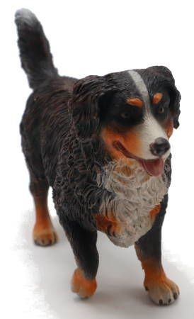 CollectA Bernese Mountain Dog - Front Angle View
