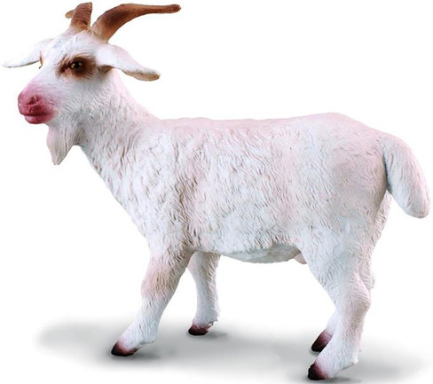 CollectA - Billy Goat - Manufacturer Picture