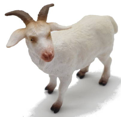 CollectA - Billy Goat - Front Angle View