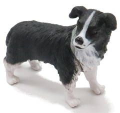 CollectA Border Collie Dog with Shaggy Coat - Top View