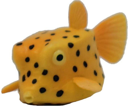 CollectA Box Fish - Front Angle View