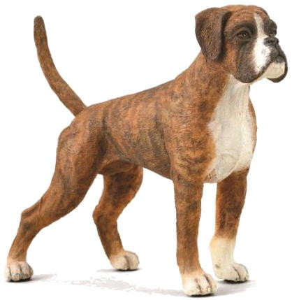 CollectA Boxer Dog - Manufacturer Picture