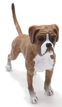 CollectA Boxer Dog - Front Angle View