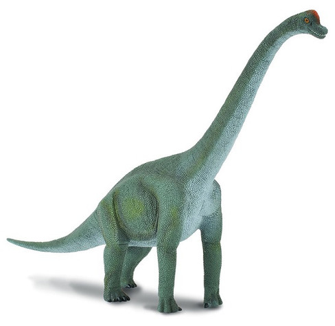 CollectA Brachiosaurus - Green model with a long neck and sturdy legs