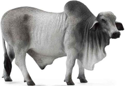 CollectA Brahman Bull - Manufacturer Picture