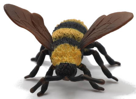 CollectA Bumble Bee - Front View