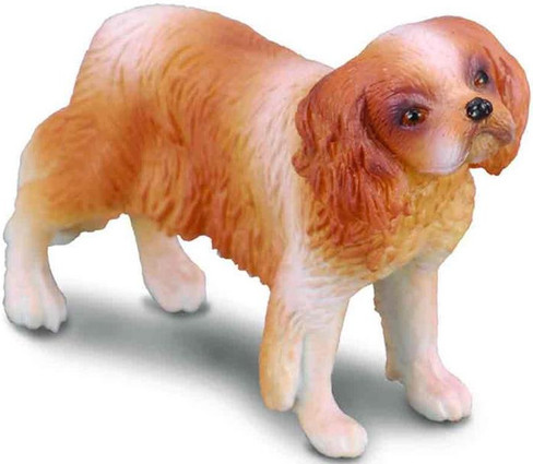 CollectA Cavalier King Charles Spaniel - Manufacturer Picture