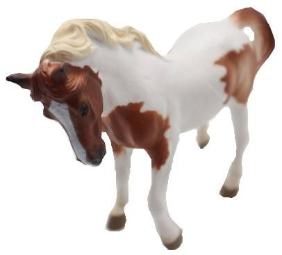 CollectA Chincoteague Pony - Chestnut Pinto - Front Angle View