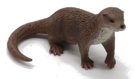 CollectA Common Otter - Front Angle View