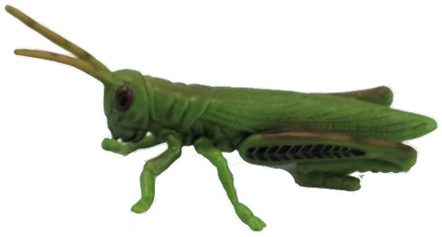 CollectA Grasshopper - Left Side View