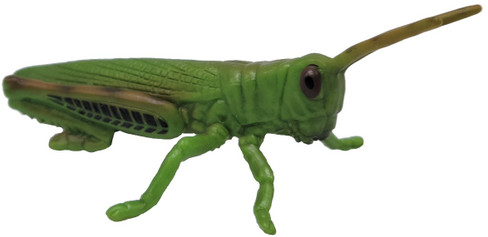 CollectA Grasshopper - Right Side View
