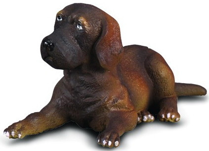 CollectA Great Dane Puppy - Brown puppy lying on its Belly