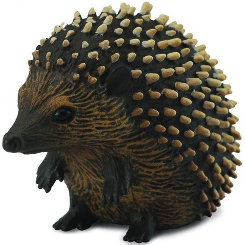 CollectA Hedgehod - Manufacturer Picture