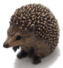 CollectA Hedgehod - Front Angle View
