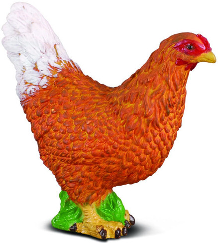 CollectA - Chicken Hen - Manufacturer Picture