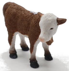 CollectA Hereford Calf Figure - Front Angle View