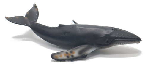 CollectA Humpback Whale - Side View