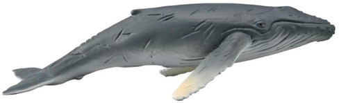 CollectA Humpback Whale Calf - Manufacturer Picture